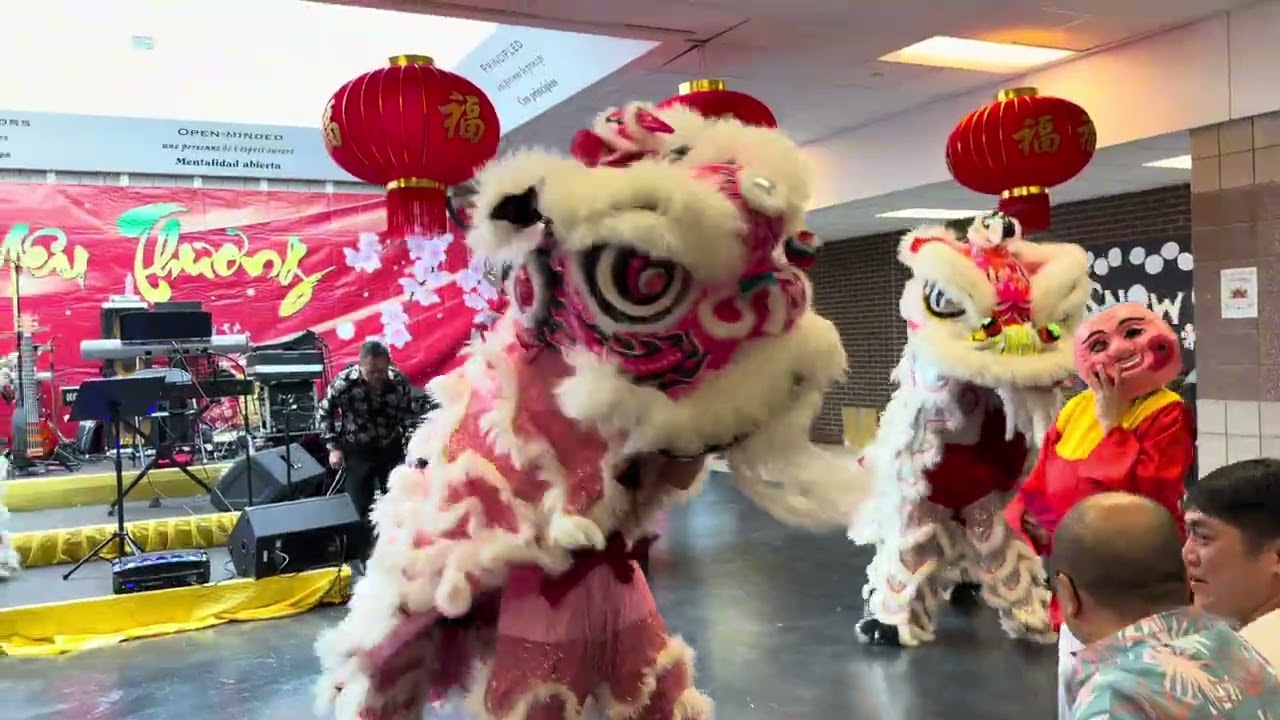 Mừng xuân Bính Ngọ 2026 biểu diễn lân sư rồng “từ bi tự “