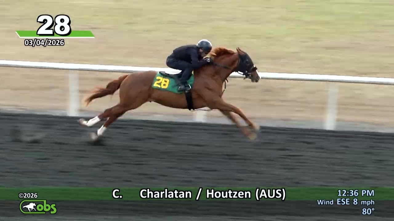 OBS March Day 1 Undertack Hip# 1-204