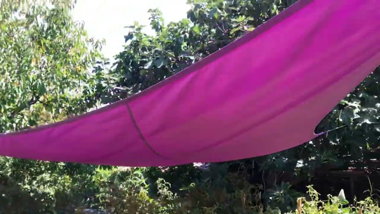 Mon jardin Marseillais août 2022