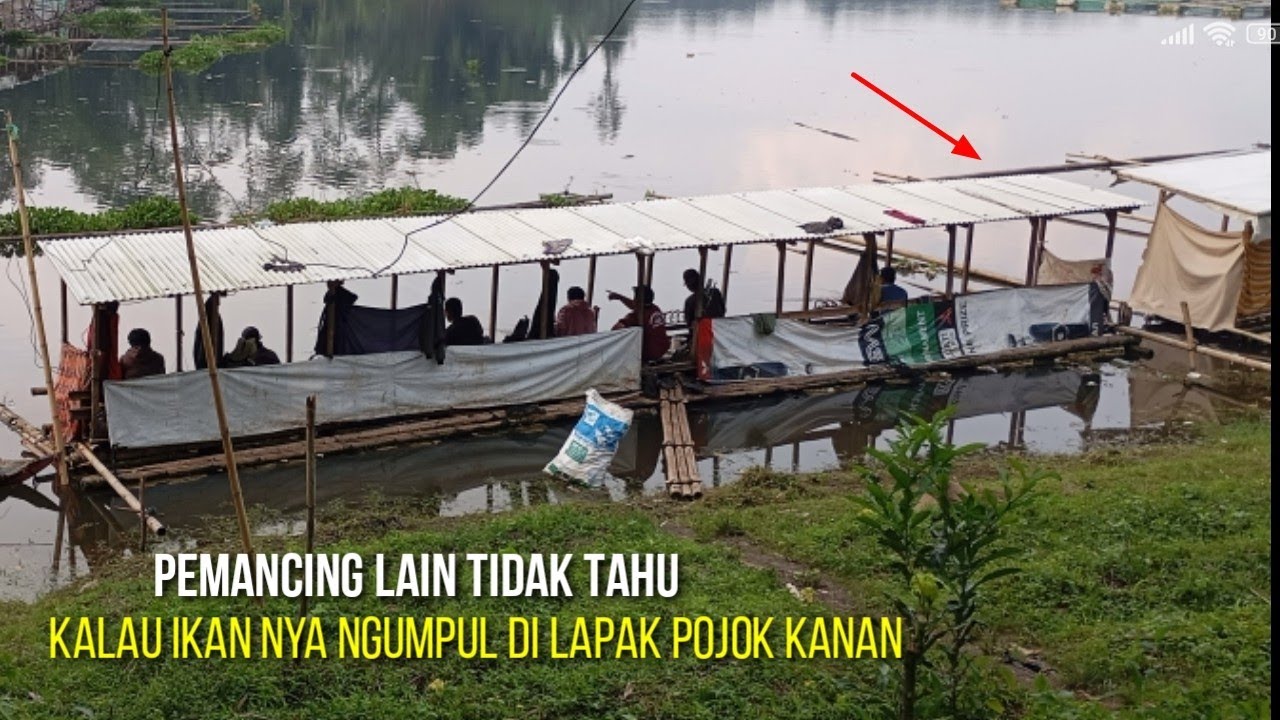 MANCING TEPAT DI SARANG IKAN SERANGAN NYA BERTUBI-TUBI ||mancing saguling terbaru
