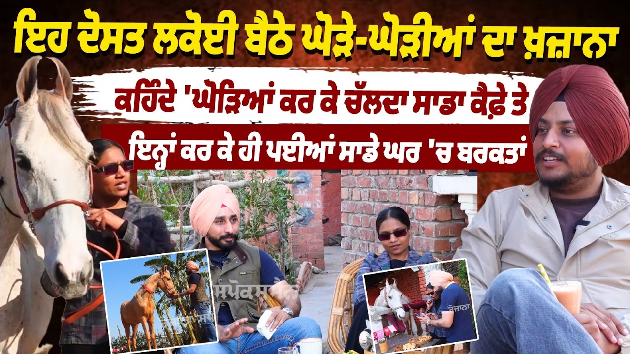 ਇਹ ਦੋਸਤ ਲਕੋਈ ਬੈਠੇ ਘੋੜੇ-ਘੋੜੀਆਂ ਦਾ ਖ਼ਜ਼ਾਨਾ, ਕਹਿੰਦੇ 'ਘੋੜਿਆਂ ਕਰ ਕੇ ਚੱਲਦਾ ਸਾਡਾ ਕੈਫ਼ੇ ਤੇ