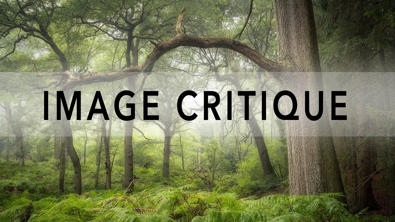 Image Critique 1 with Alister Benn