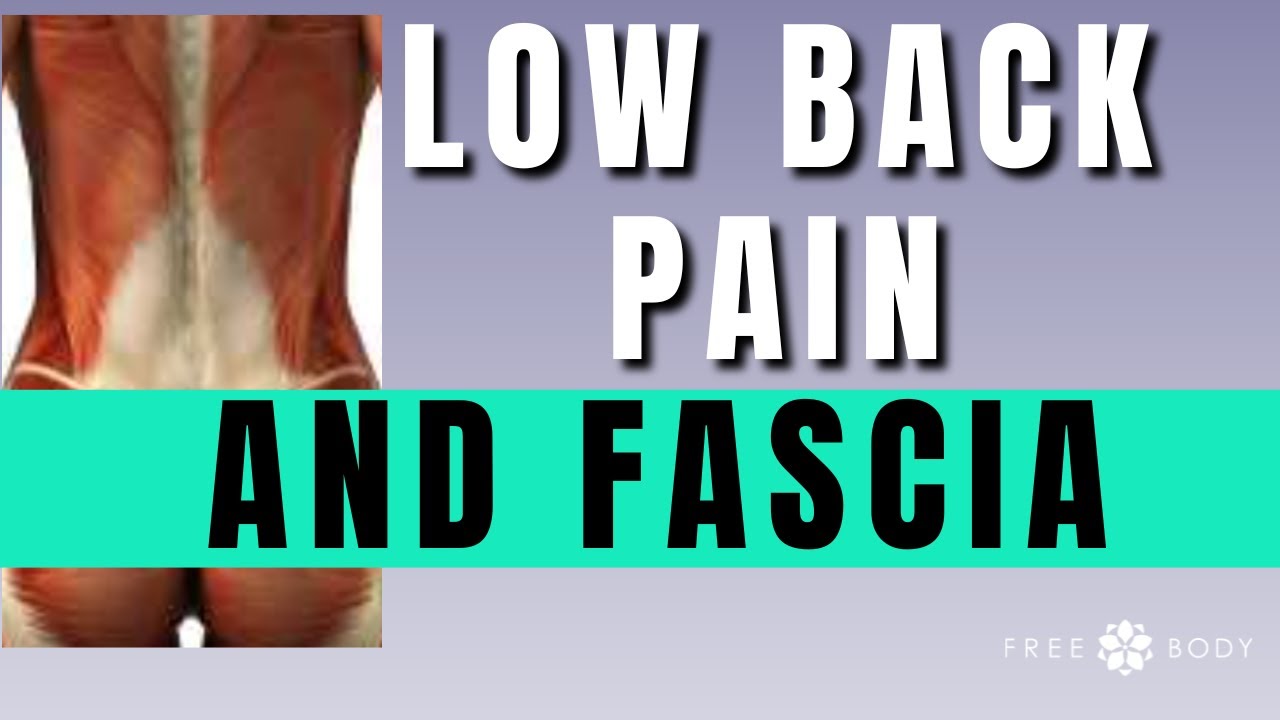 Low Back Pain and Lumbar Fascia