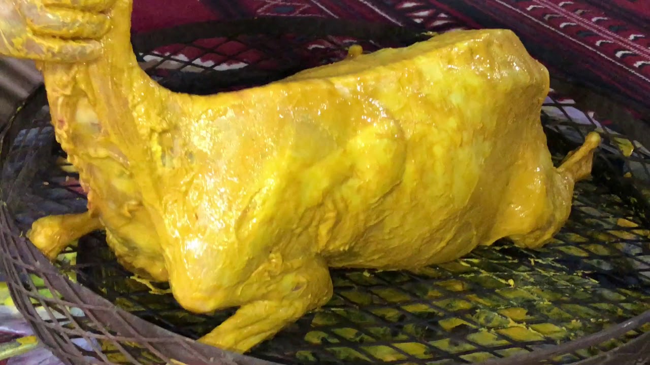 تكية شتوية مع شقردية و التغذية مية مية