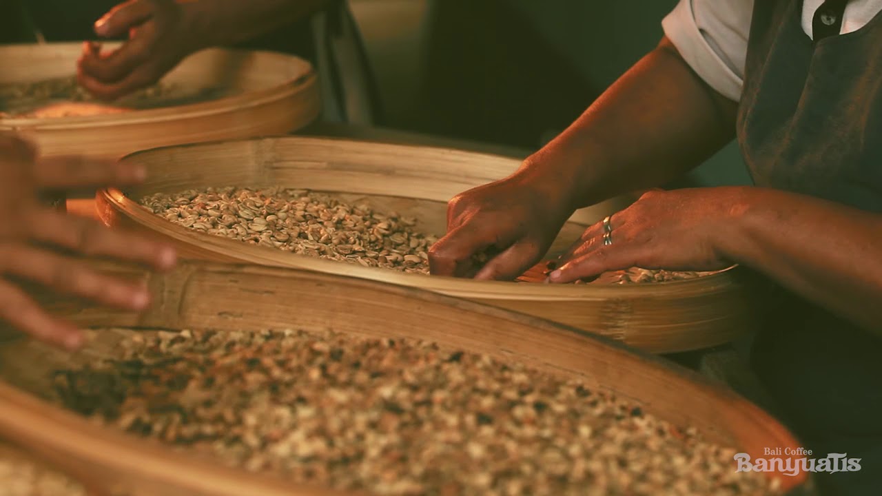 Company Profile kopi banyuatis