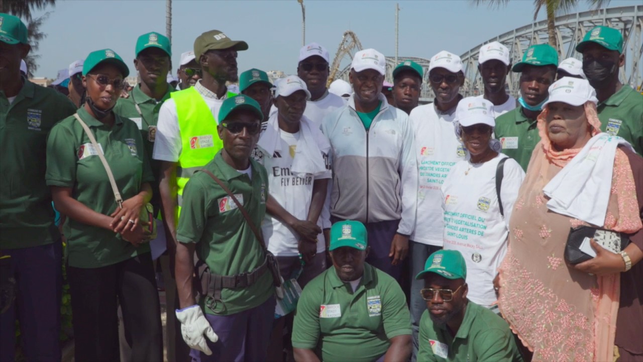 Saint-Louis : lancement de la végétalisation avec 94 palmiers royaux sur l'avenue Macky SALL