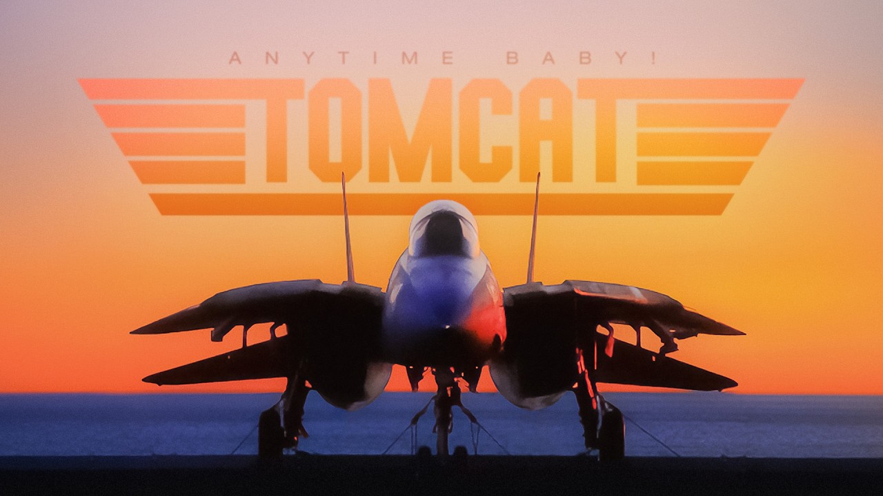 F-14 Tomcat - Anytime Baby!