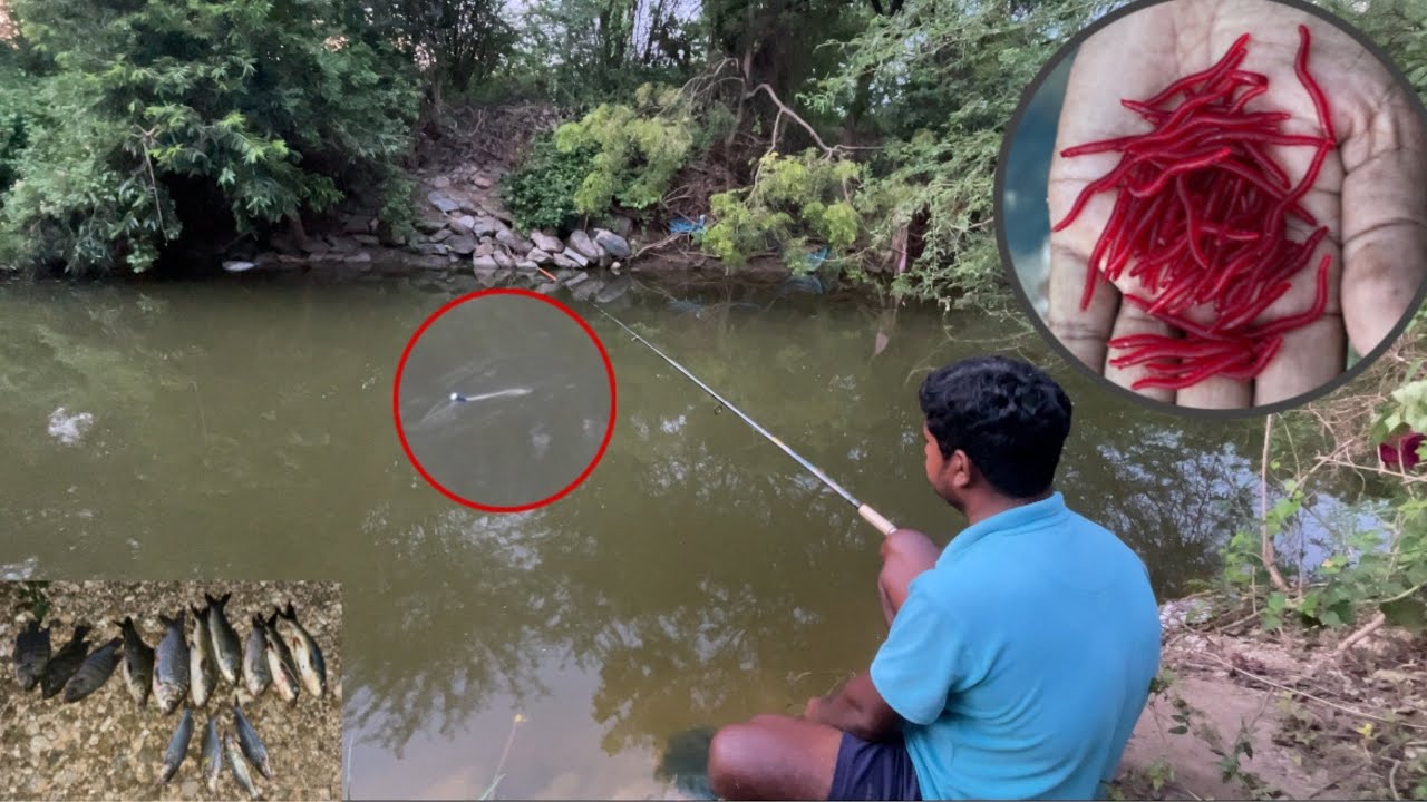 ప్లాస్టిక్ ఎర్రలతోని రువ్వులు జెల్ల చేపలు పట్టొచ్చు మామ bros Plastic Earthworm Traditional fishing