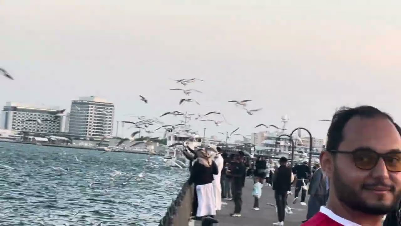 Doha Port Mein Aisa Nazara Kabhi Nahi Dekha | Thousands of Birds 