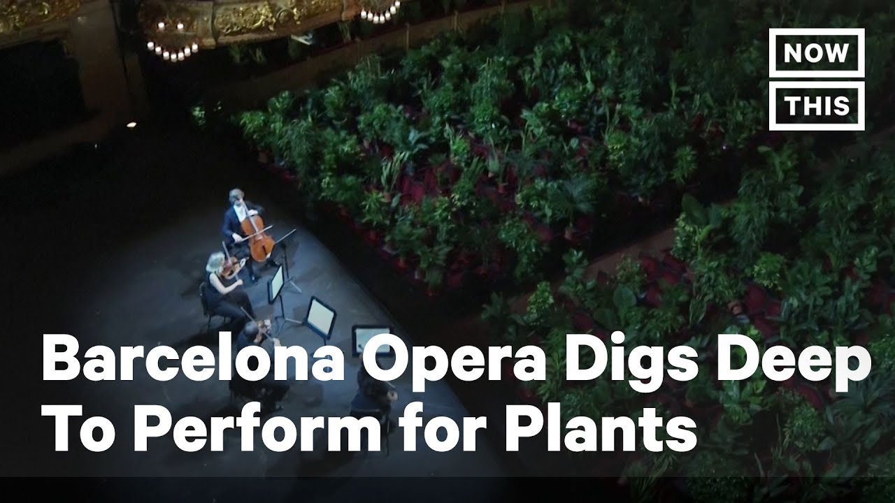 Barcelona Opera Digs Deep to Perform for Potted Plants | NowThis