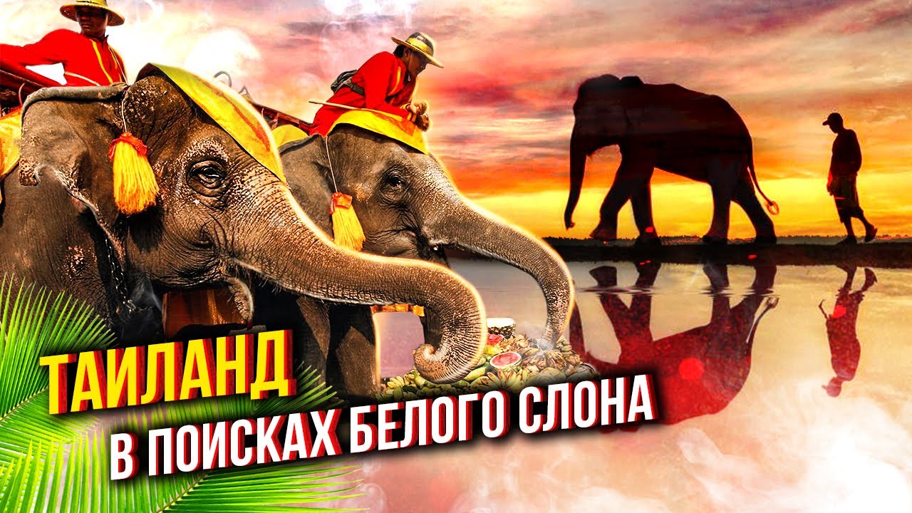 Таиланд. В поисках белого слона