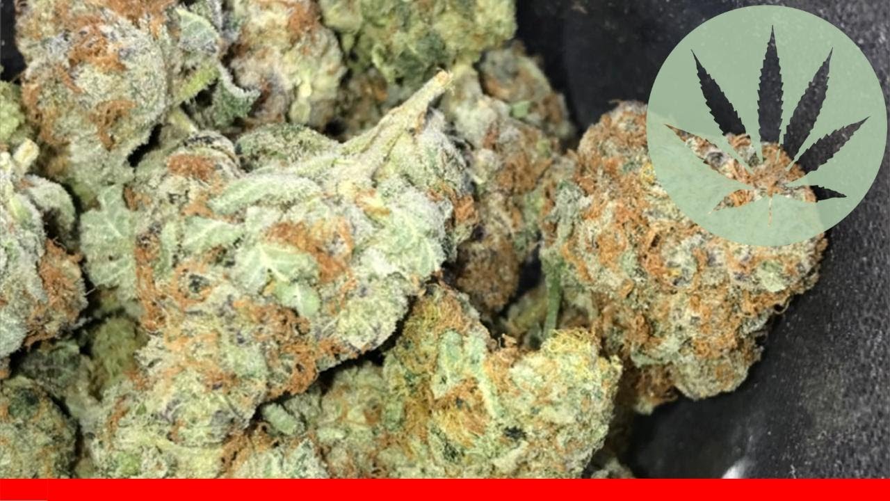 Rockstar Kush - All About This Strain