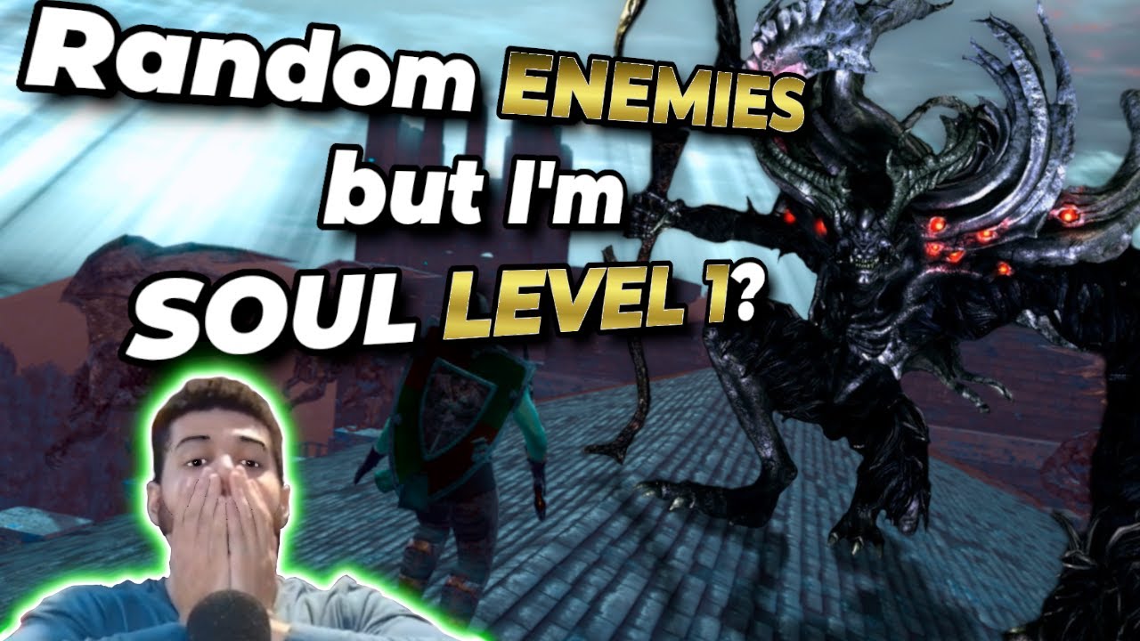 This DARK SOULS Randomizer Run was the HARDEST I've ever attempted #darksouls #lvl1