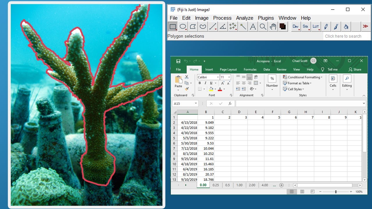 Using ImageJ to measure coral growth