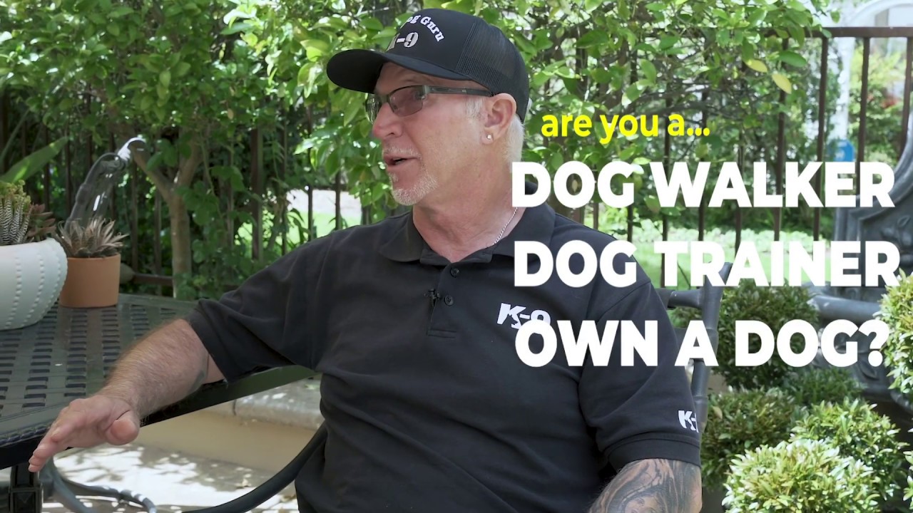 Meet The Real Dog Guru