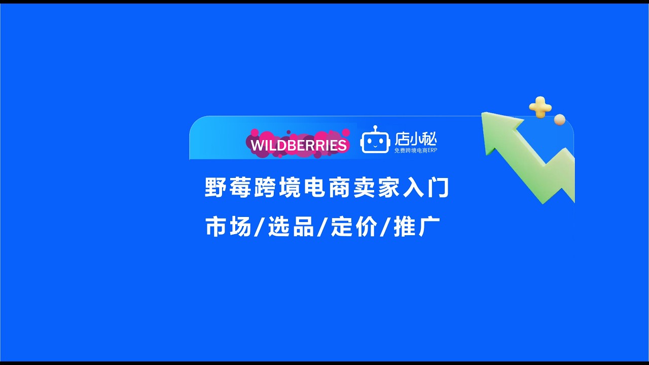 跨境电商运营教程！俄罗斯野莓wildberries平台怎么样？野莓平台怎么入驻？野莓wildberries怎么运营？店小秘ERP教程，新手如何做跨境电商#电商 #电商运营 #跨境电商 #电商创业