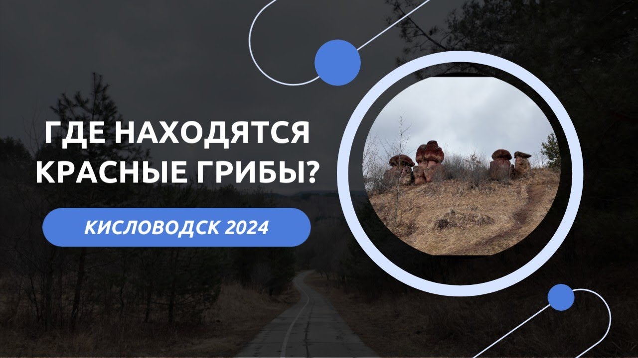 КИСЛОВОДСК 2024/КУРОРТНЫЙ ПАРК/ВЛОГ 19.02.24