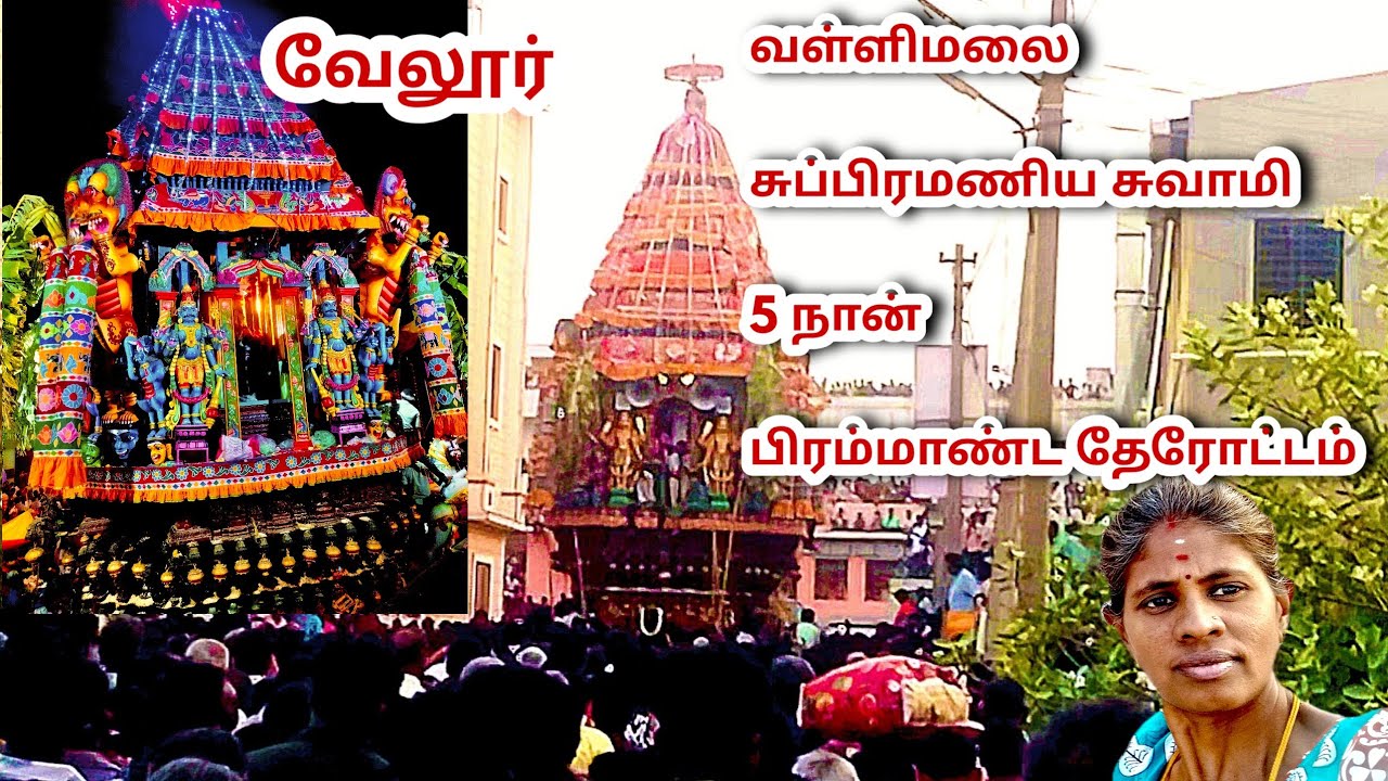 வேலூர் மாவட்டம் வள்ளிமலை சுப்பிரமணியசுவாமி பிரம்மாண்ட தேரோட்டம் Vellore vallimalai Murugan Temple 