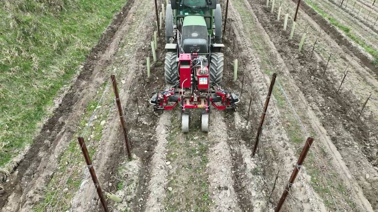 Jarná okopávanie vinice v Holoperegu Pezinok ID David