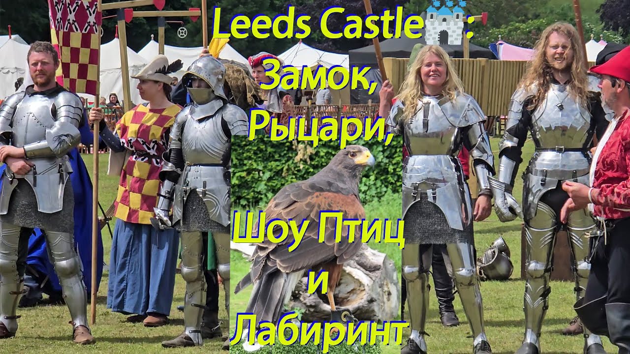 Leeds Castle🏰: Замок, Рыцари, Шоу Птиц и Лабиринт | Второй день приключений в замке 🏰