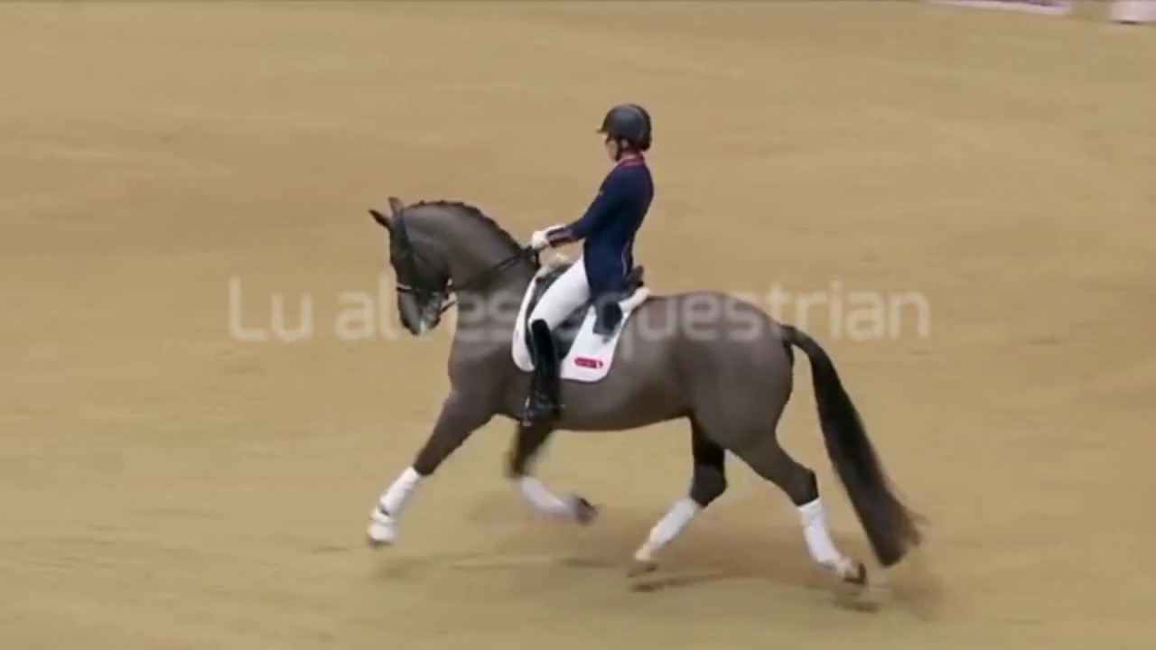 girls like you- dressage music video