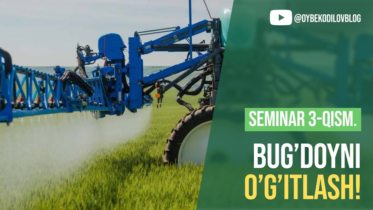Bug’doyni o’g’itlash! Seminar 3-qism.