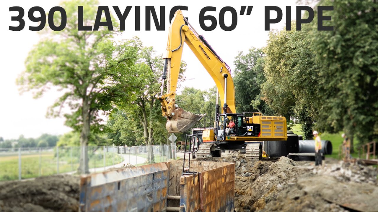 Laying 60