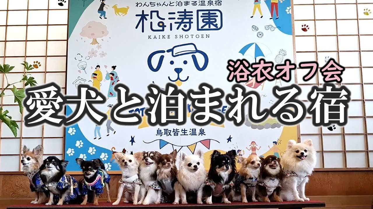 ついに実現！ファンと一緒に旅館で浴衣でワンコオフ会♪【犬と泊まれる松濤園】」