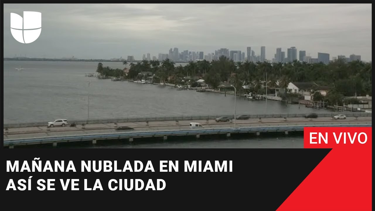 ☁️ EN VIVO: Mañana nublada en Miami. Así se ve la ciudad