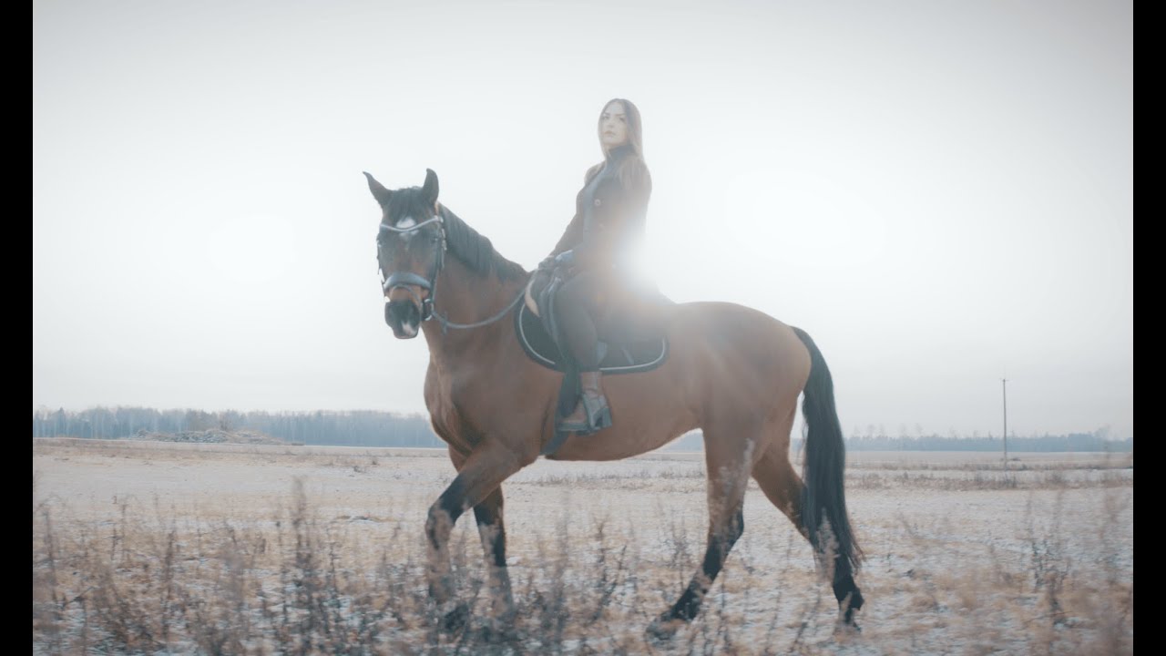 CAROL (Carol Suurev&auml;lja) - Purpose (Official Music Video | Eesti Laul 2025 semifinalist)