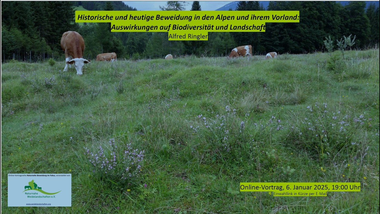 Alfred Ringler - Chancen und Grenzen der Naturschutzbeweidung in Südbayern