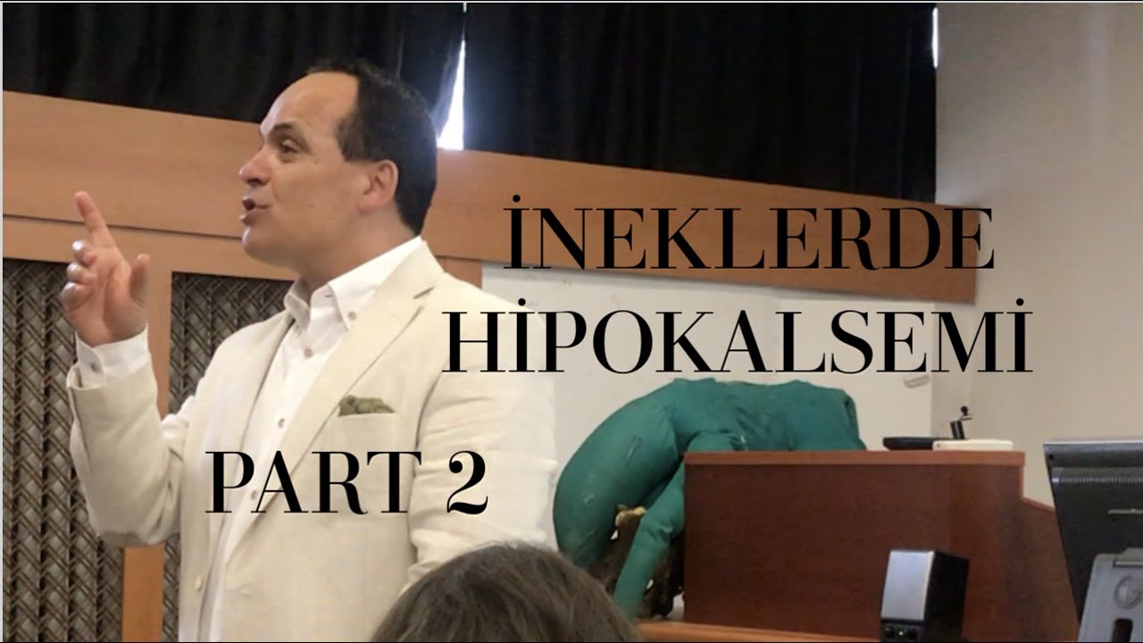 İneklerde Hipokalsemi PART 2 | Prof. Dr. Ayhan Baştan