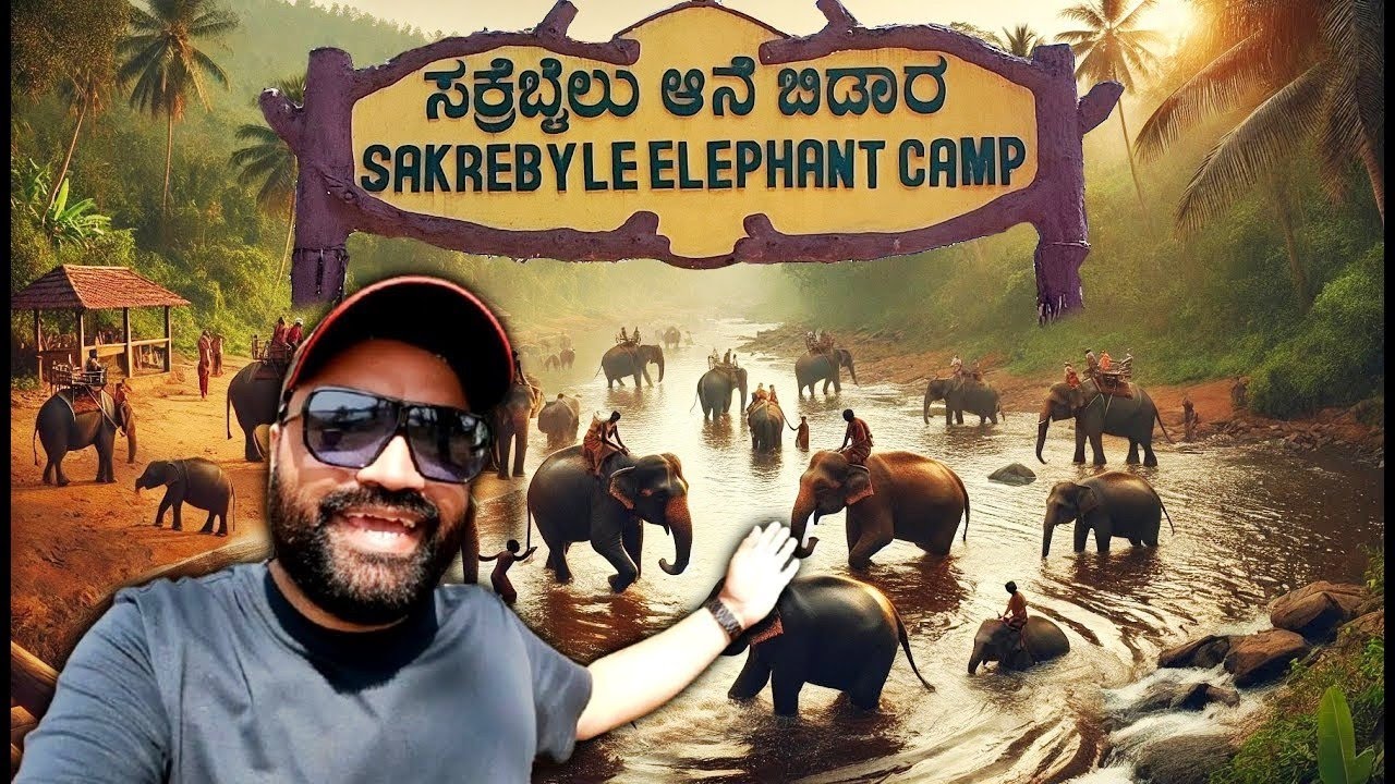 Sakrebyle Elephant Camp | ಸಕ್ರೆಬೈಲು ಆನೆ ಶಿಬಿರ | सकरेबाइल हाथी शिविर Things To Do In Karnataka