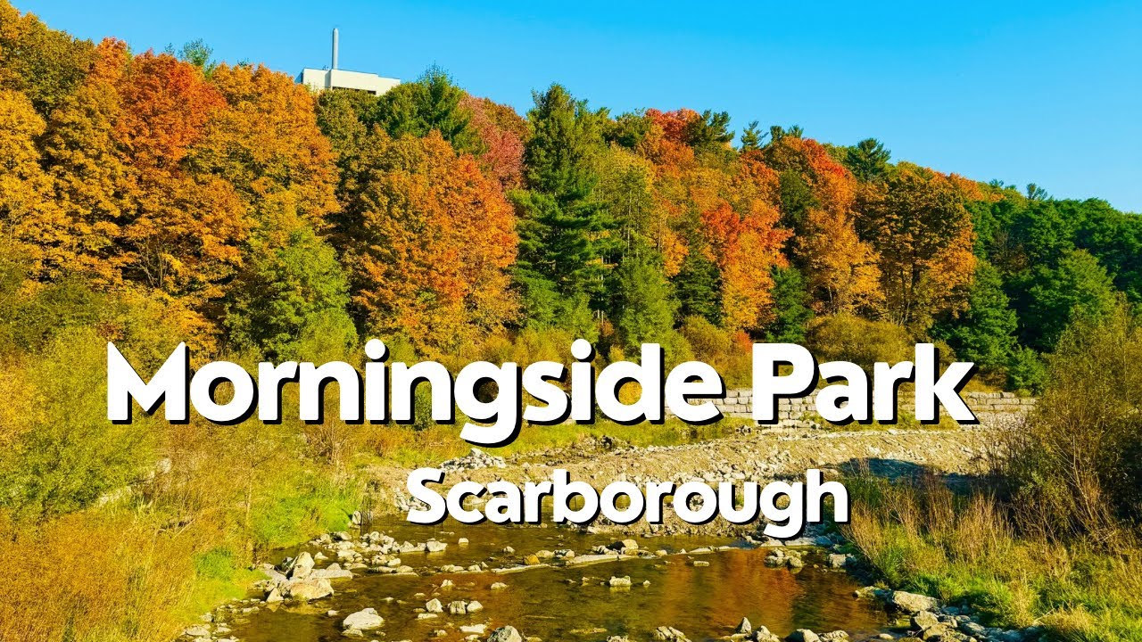 Autumn walk in Morningside Park, Scarborough #fallcolors #autumn #scarborough