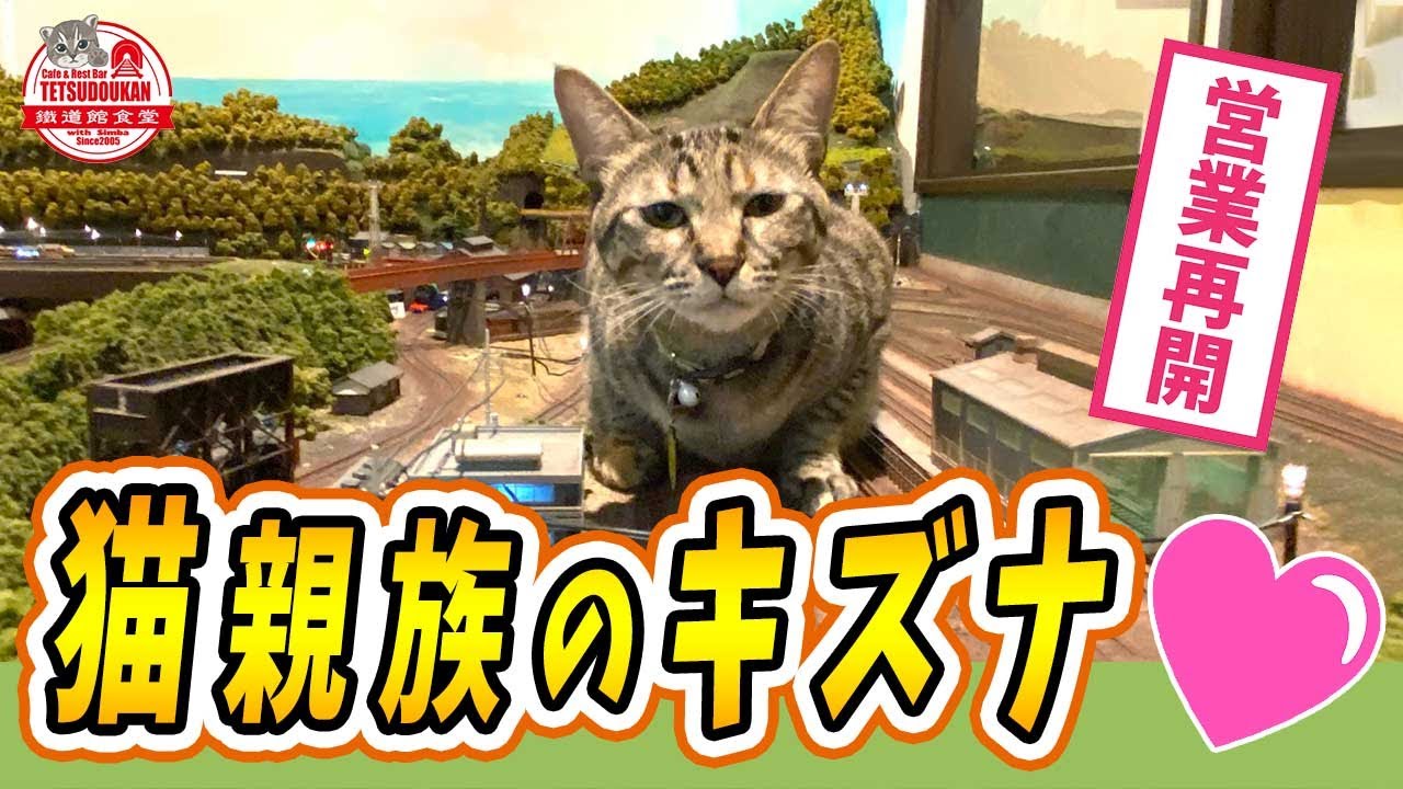 素晴らしい日曜日💕家族全員一緒
