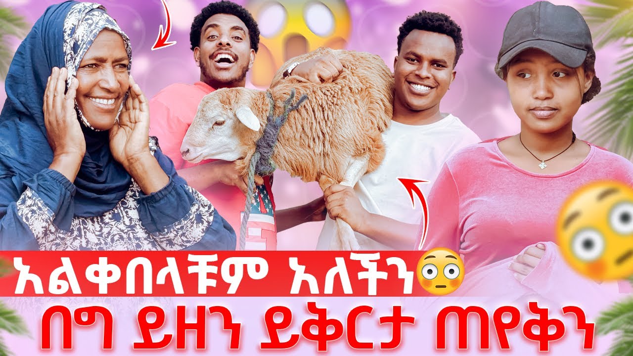 በግ ይዘን ይቅርታ ጠየቅን ቤቲን ማየት አልፈልግልም አለች😳አሚር አለቀሰ