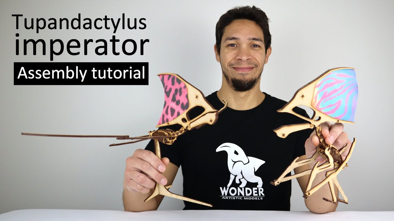Tupandactylus imperator 3D Wooden Puzzle | Assembly Tutorial