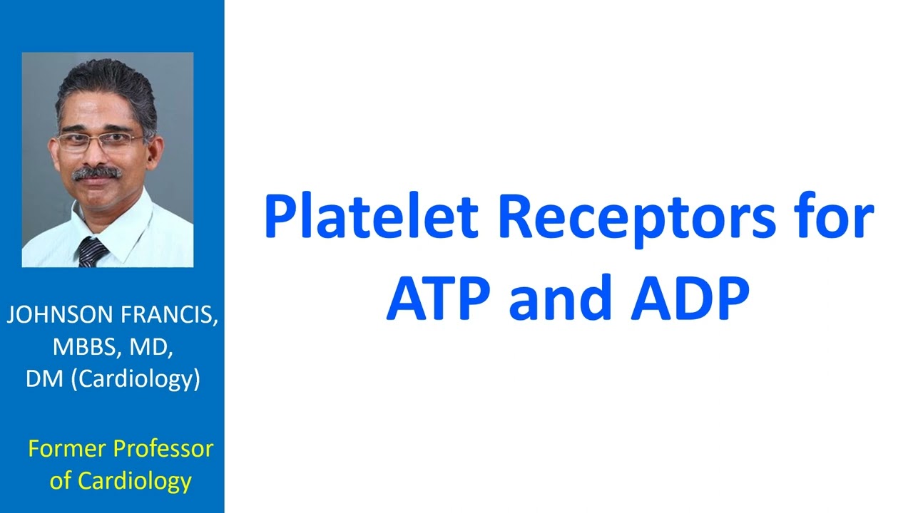 Platelet receptors for ATP and ADP
