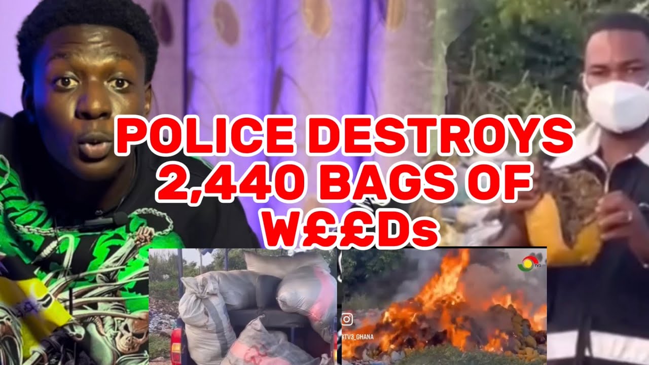 Ghana Police Crackdown: 2240 Parcels of W£ED/ Cannabis Destroyed in Volta North