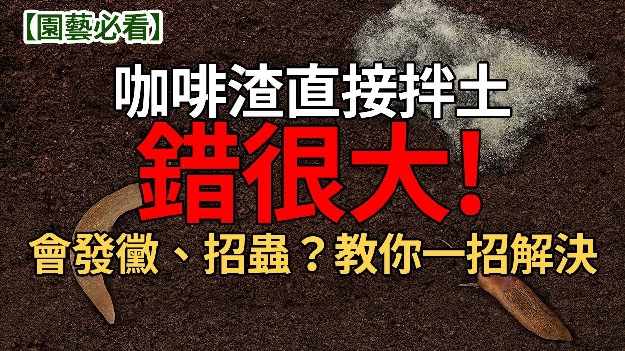 【養花必學】☕咖啡渣正確用法公開！不再發黴、招蟲，植物狂爆長