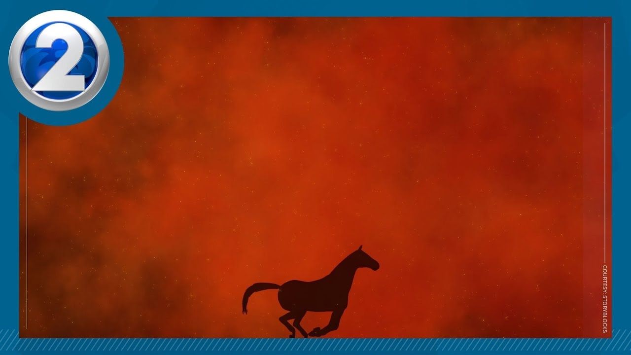 Feng Shui Master Michael Wu gives advice for the Year of the Fire Horse