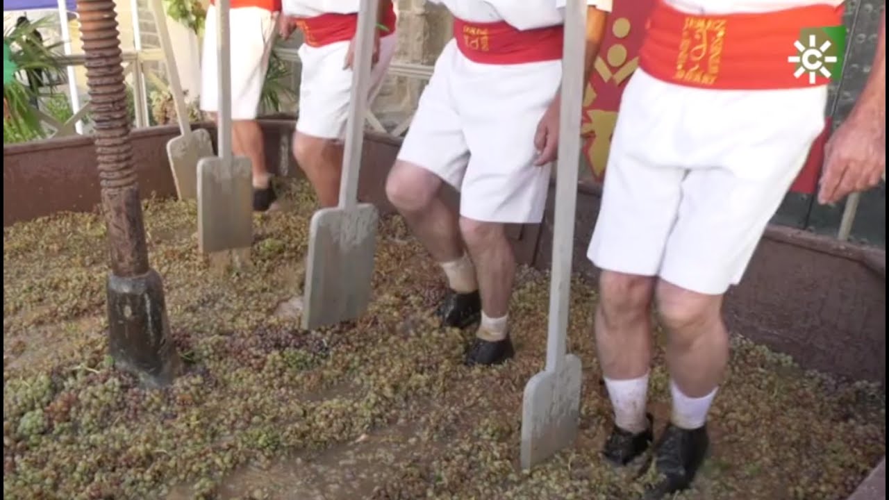 Cita con la tradición y la fiesta en la Pisa de la Uva, en Jerez