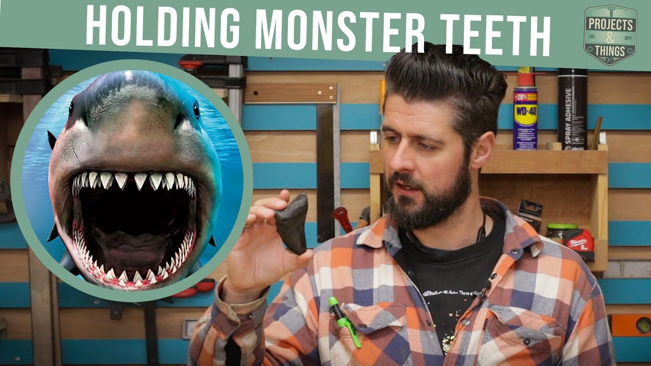 Making a Monster Megalodon Tooth wall Display