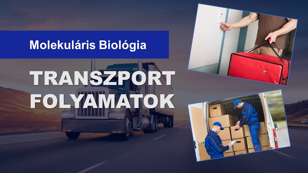 🚚 A Transzport Folyamatok (20 percben)