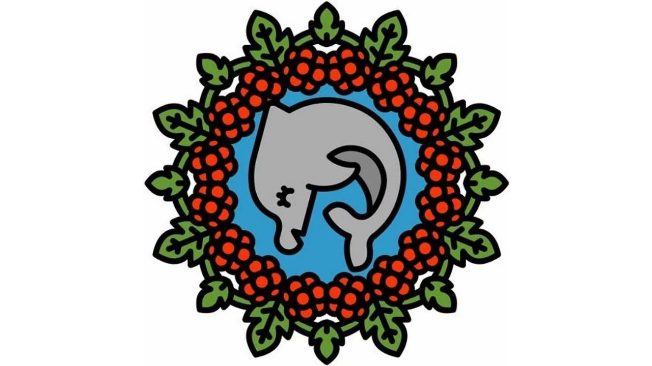 DELFIN W MALINACH (9): Numer 300 | Jagoda Szelc, Anna Smolar, Paweł Sołtys i Karol Radziszewski