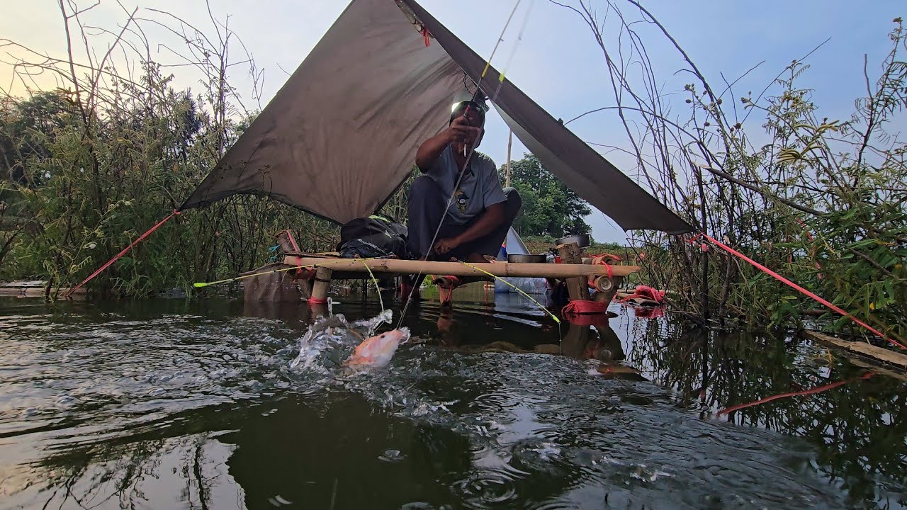 CAMP FISHING Ep.440 Rezeki tidak ada ukuran dan batasan nya Hiji oge Maung Kawan