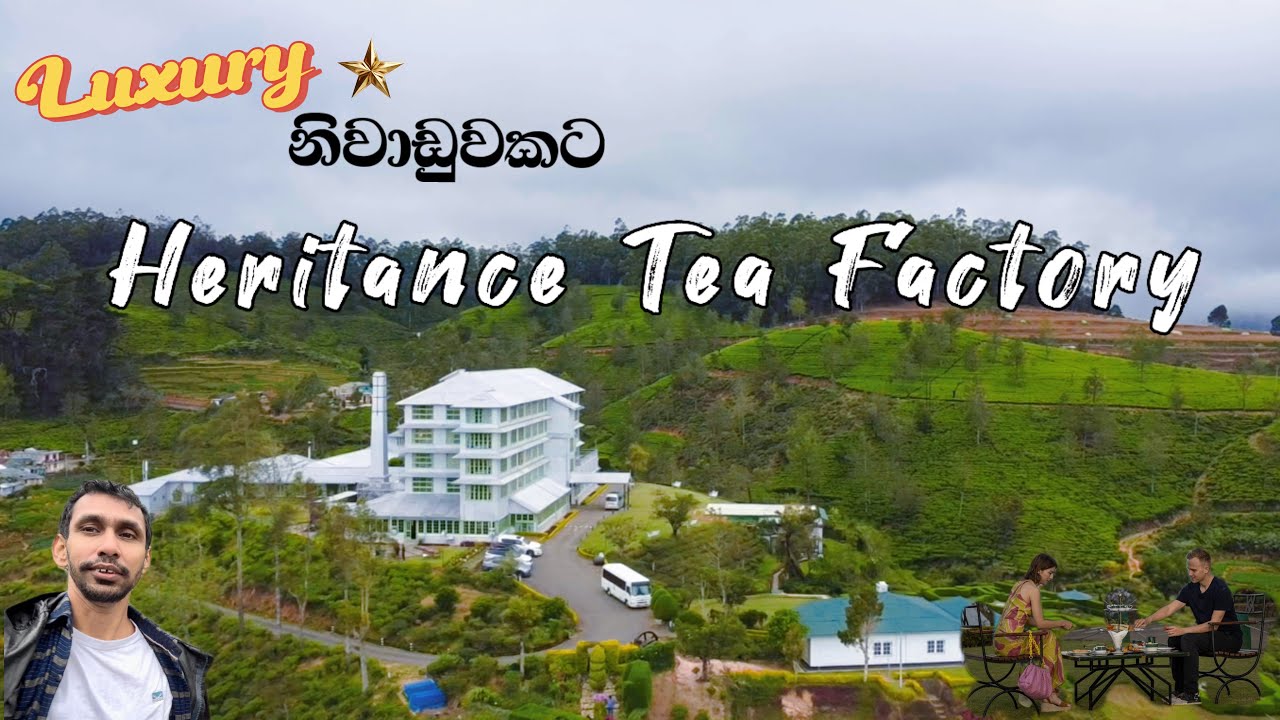 Heritance Tea Factory | මේක බැලුවොත් නම් ඔයාටත් යන්නම ඕන හිතෙයි| Kandapola|#nuwaraeliya #coldclimate