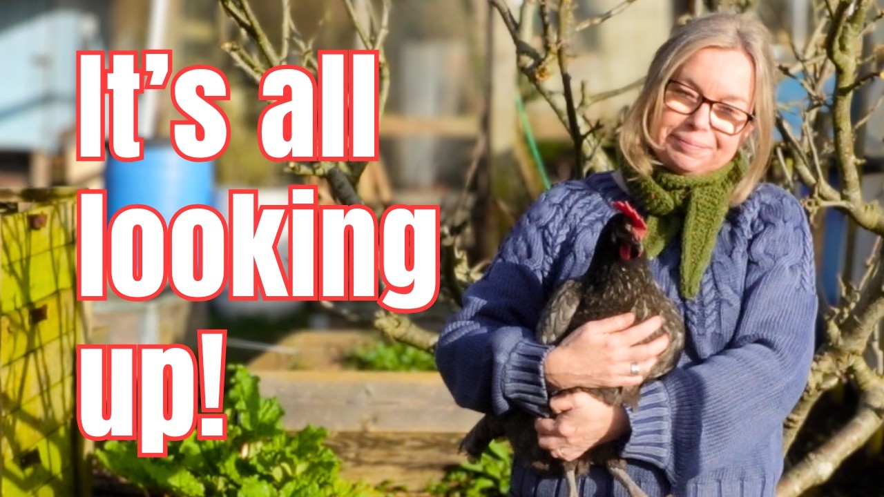SPRING JOBS: Pruning, Sowing Seeds and A WINNER!
