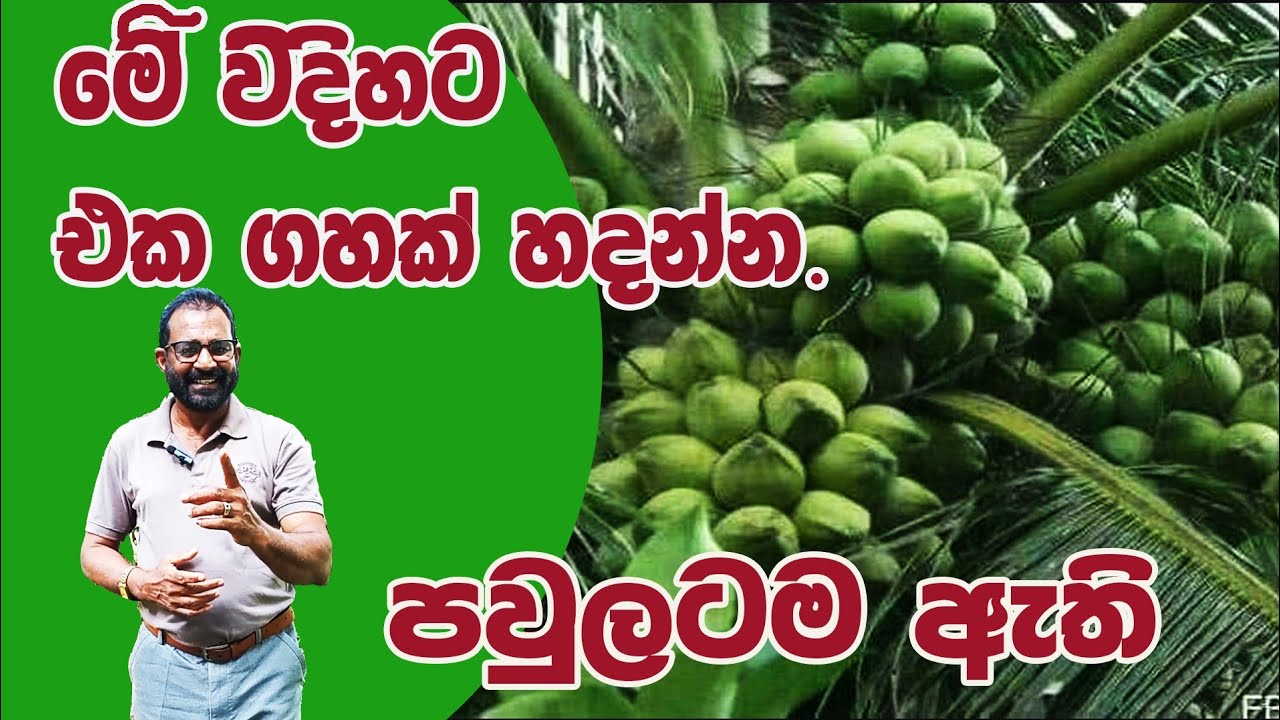 එක ගහක් පවුලටම ඇති @AgriView61