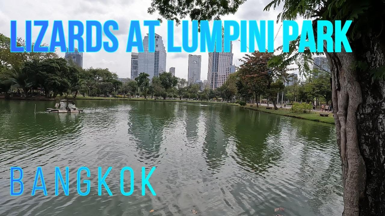 Bangkok travel vlog  🇹🇭 BEST park in the city | a lake | and giant lizards